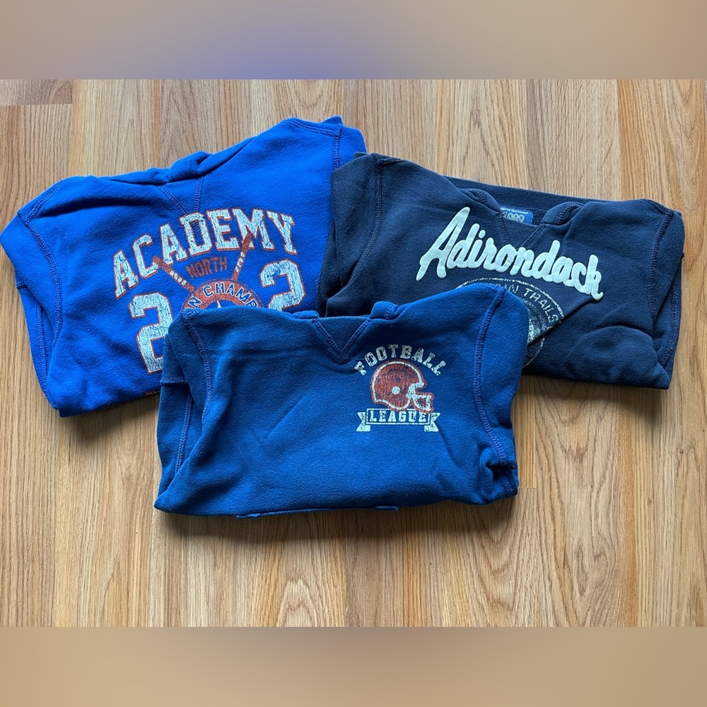 The Children’s Place Hoodies LOT Sz 4yrs